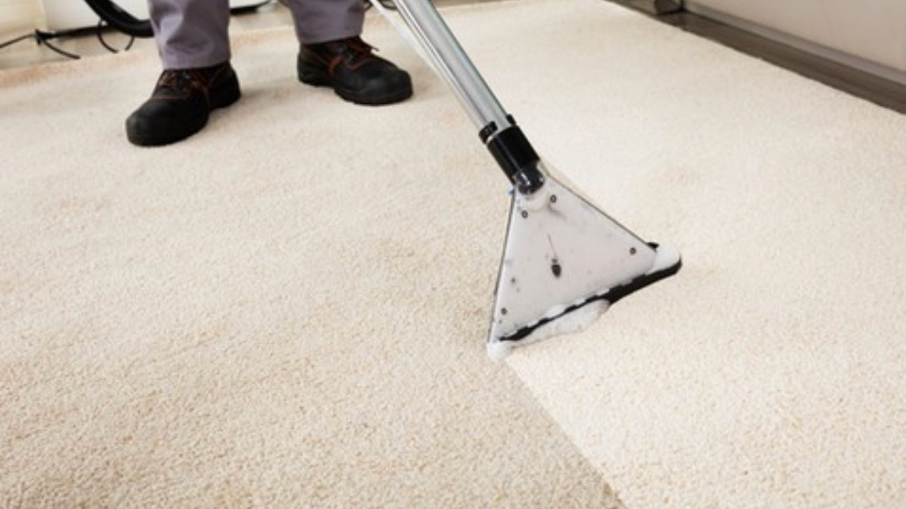 Steam-cleaning wand lifting a clean stripe from soiled carpet